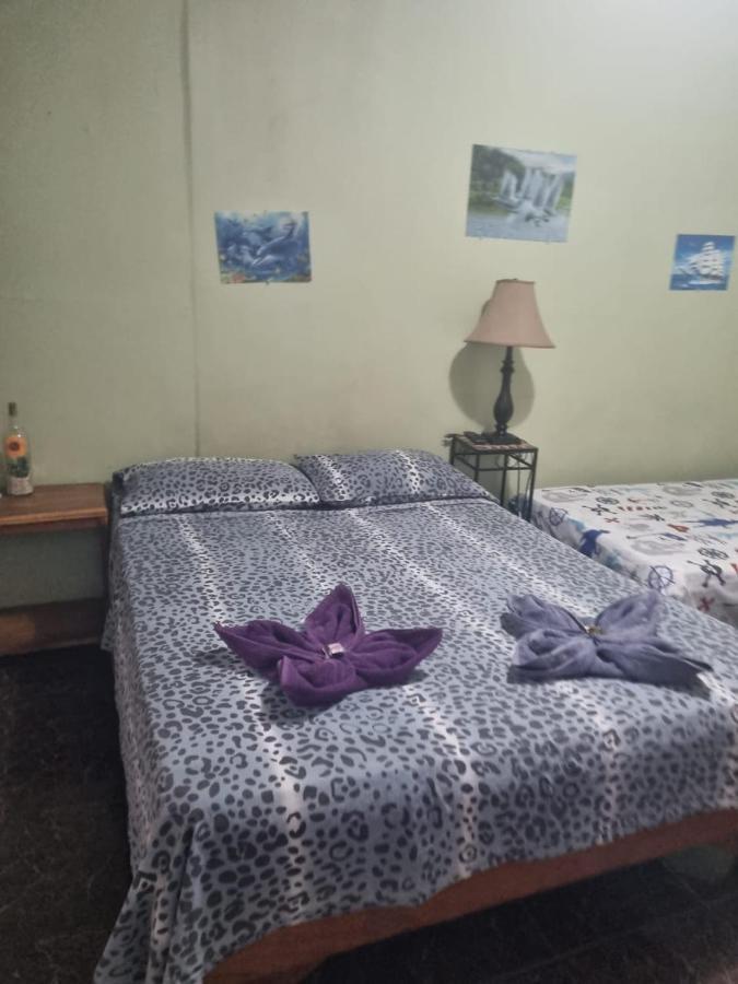 Hotel Paradise Alajuela Río Segundo المظهر الخارجي الصورة