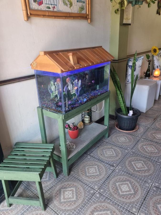 Hotel Paradise Alajuela Río Segundo المظهر الخارجي الصورة